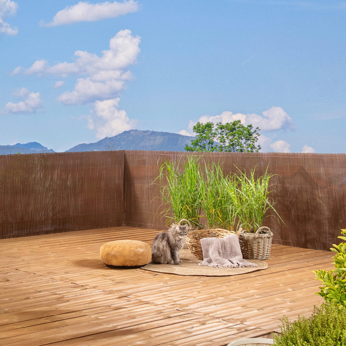 SICHTSCHUTZ - Naturfarben, Basics, Kunststoff (300/150cm)