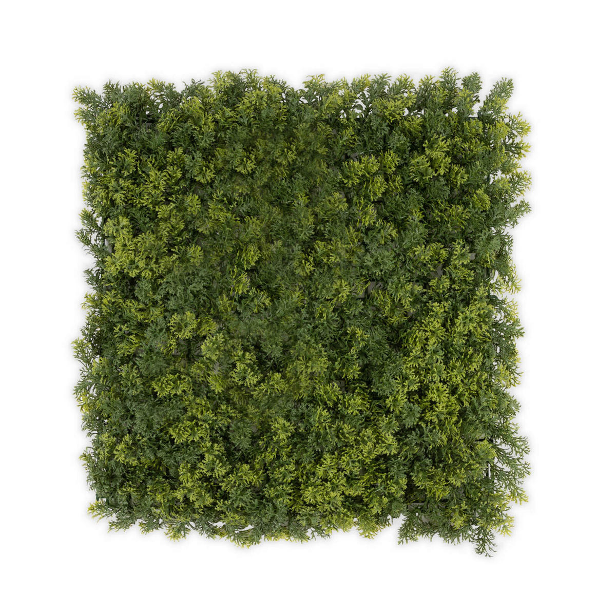 WANDVERKLEIDUNG  - Waldgrün/Dunkelgrün, Trend, Kunststoff (50/50cm) - Floordirekt