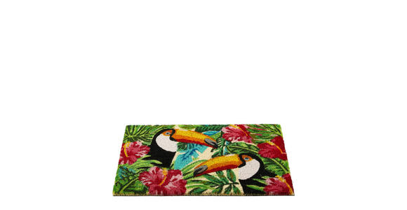 FUßMATTE 40/60 cm  - Multicolor, KONVENTIONELL, Textil (40/60cm) - Esposa