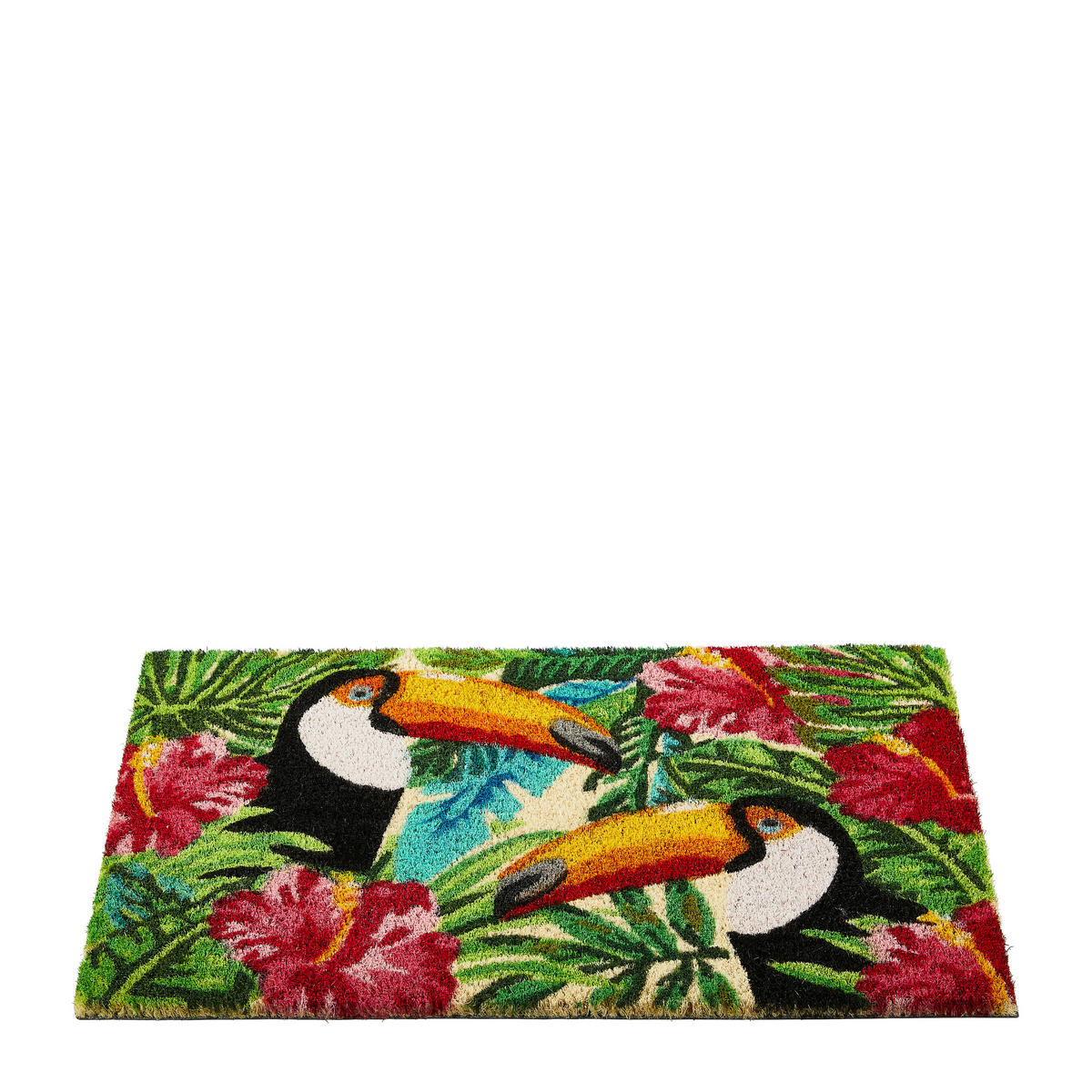 FUßMATTE 40/60 cm  - Multicolor, KONVENTIONELL, Textil (40/60cm) - Esposa