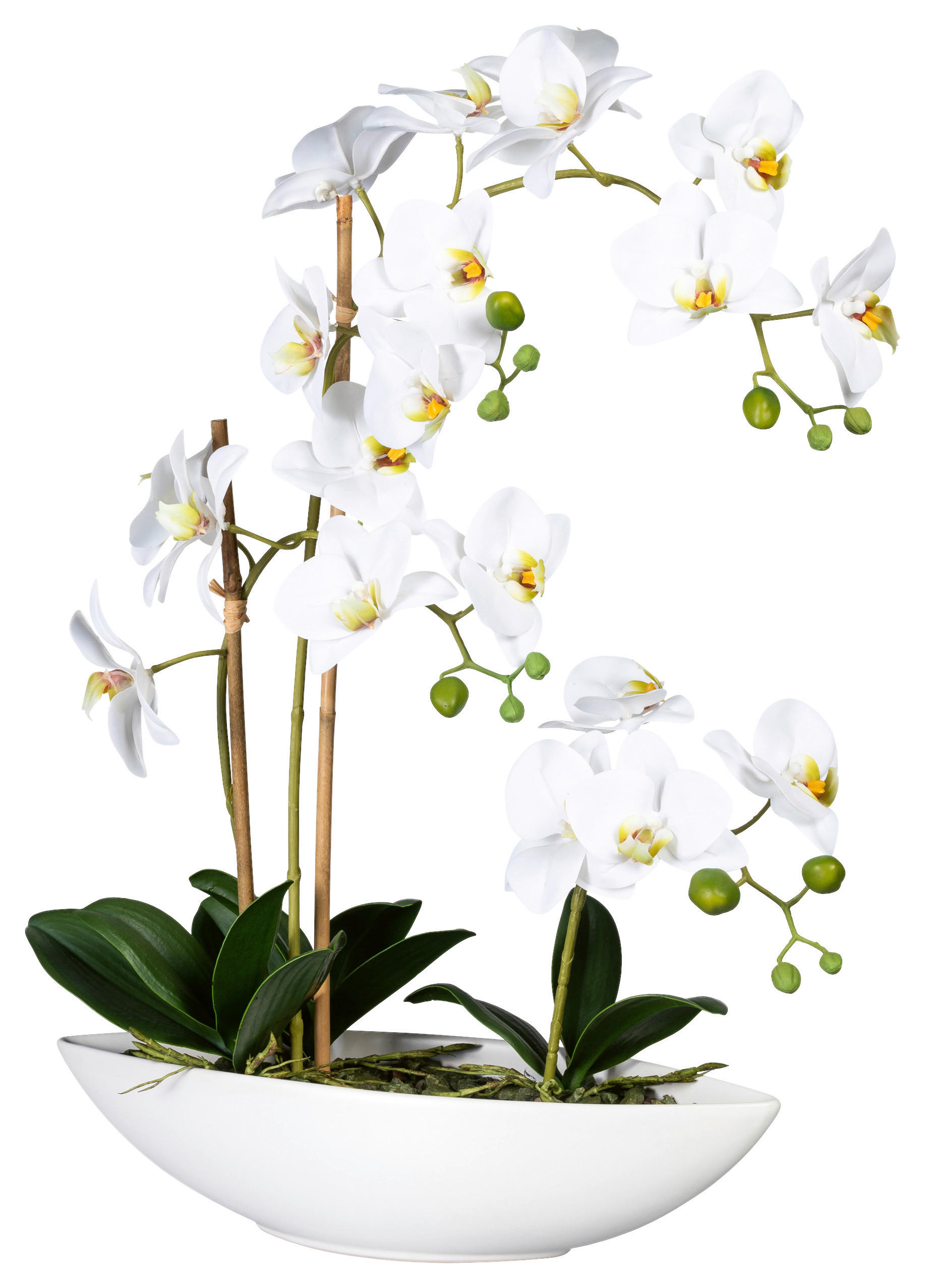 KUNSTPFLANZE Orchidee 60 cm  - Weiß/Grün, Design, Keramik/Kunststoff (60cm)