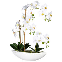 KUNSTPFLANZE Orchidee 60 cm  - Weiß/Grün, Design, Keramik/Kunststoff (60cm)