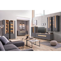 Set Mobilă Living, antracit, culoare lemn stejar, 384,4/206/48 cm - culoare lemn stejar/antracit, Design, sticlă/metal (384,4/206/48cm) - Dieter Knoll