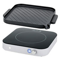 INDUKTIONSKOCHPLATTE SPIRIT  - Weiß, Basics, Glas/Kunststoff (33/28/8cm) - Spring