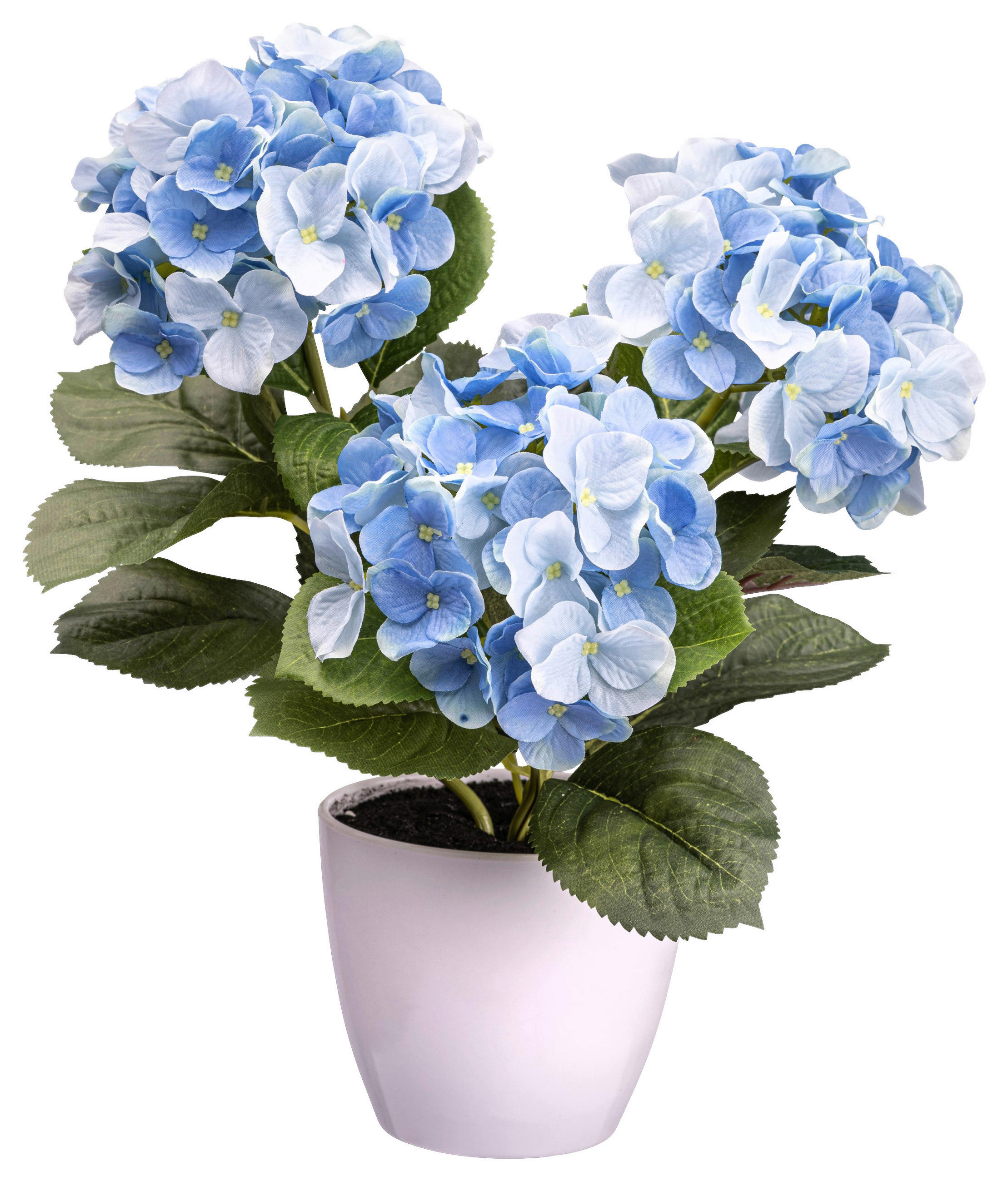 KUNSTPFLANZE Hortensie 32 cm  - Blau/Grün, Design, Kunststoff (32cm) - P & B