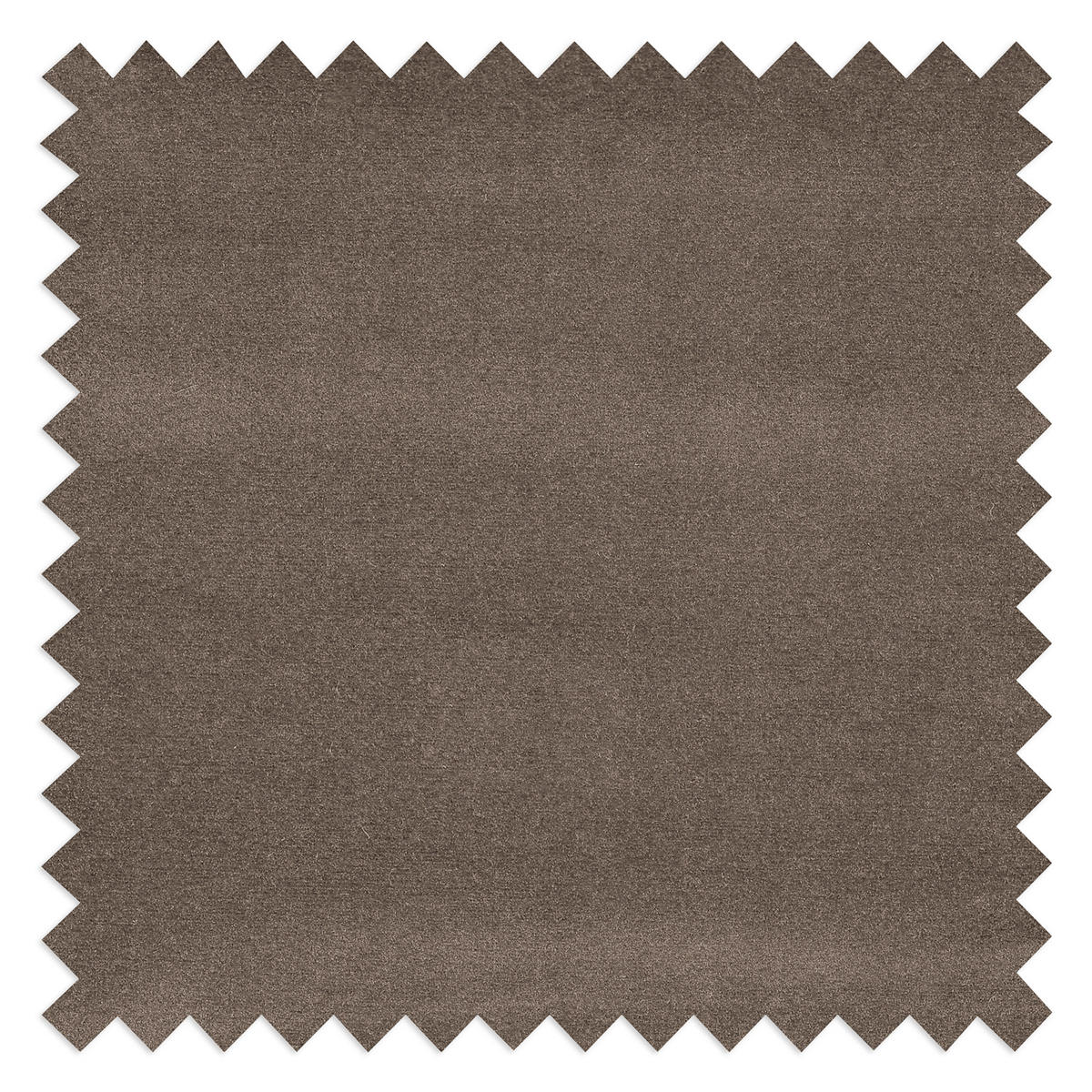 ECKSOFA in Samt Beige  - Beige/Buchefarben, Design, Holz/Textil (168/238cm) - Livetastic