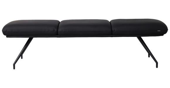 SITZBANK 200/49,5/50 cm Echtleder Schwarz  - Schwarz, Design, Leder/Metall (200/49,5/50cm) - Dieter Knoll