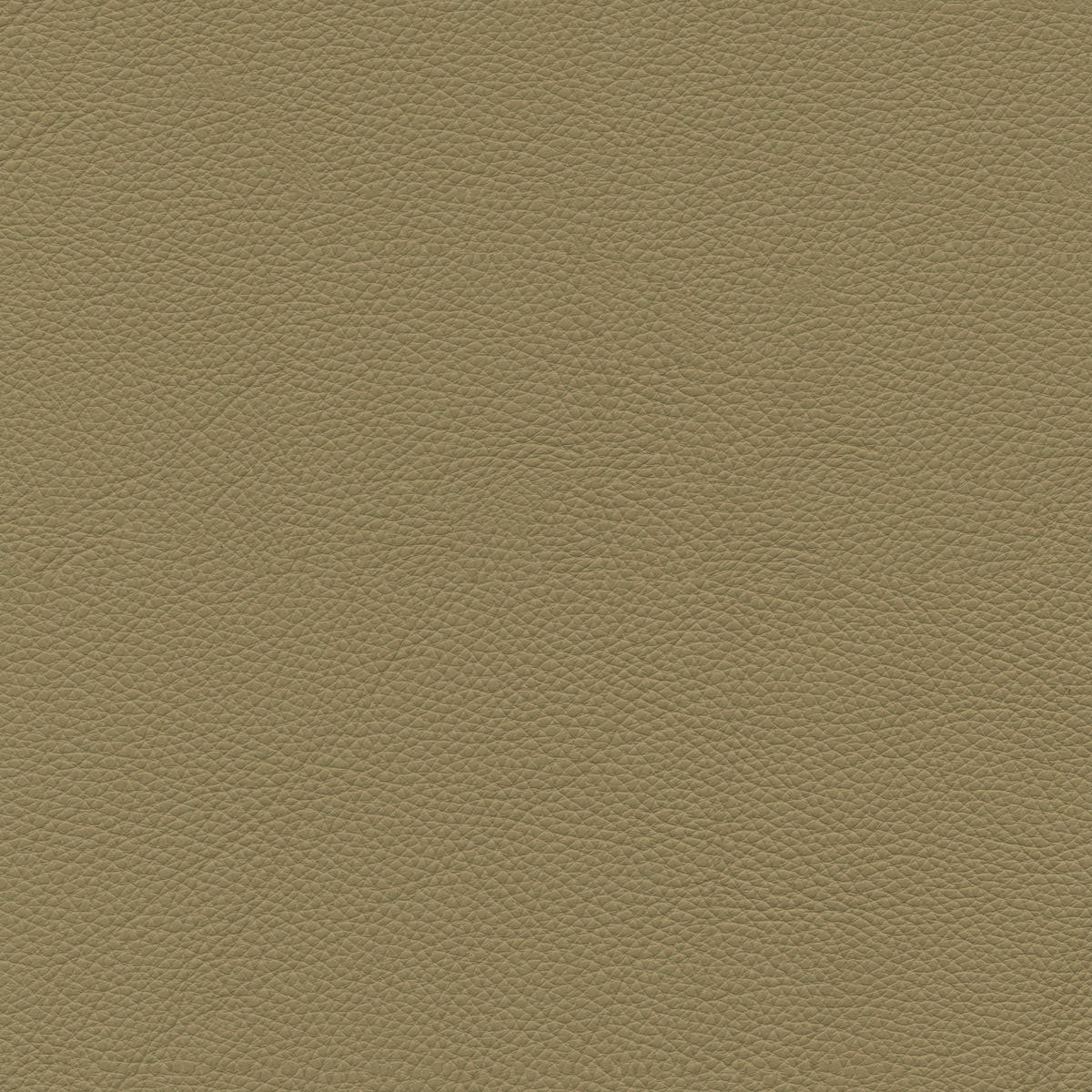 ECKSOFA in Echtleder Beige  - Beige/Schwarz, Design, Leder/Metall (165/313cm) - Emilio Belluti