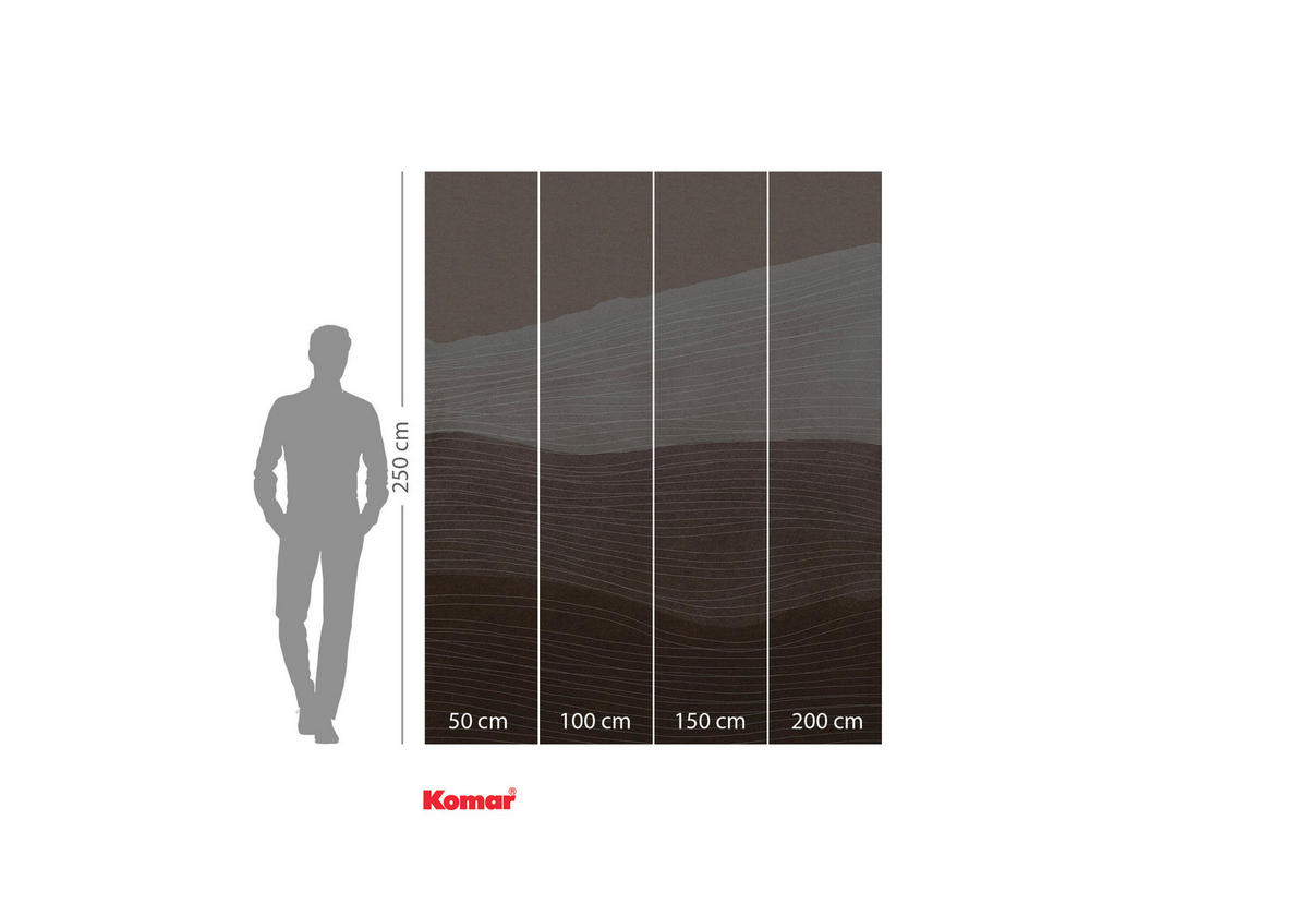 VLIESTAPETE - Braun, Basics (200/250cm) - Komar
