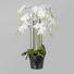 KUNSTBLUME Orchidee - Weiß/Grün, Basics, Kunststoff (110cm) KUNSTBLUME Orchidee - Weiß/Grün, Basics, Kunststoff (110cm)