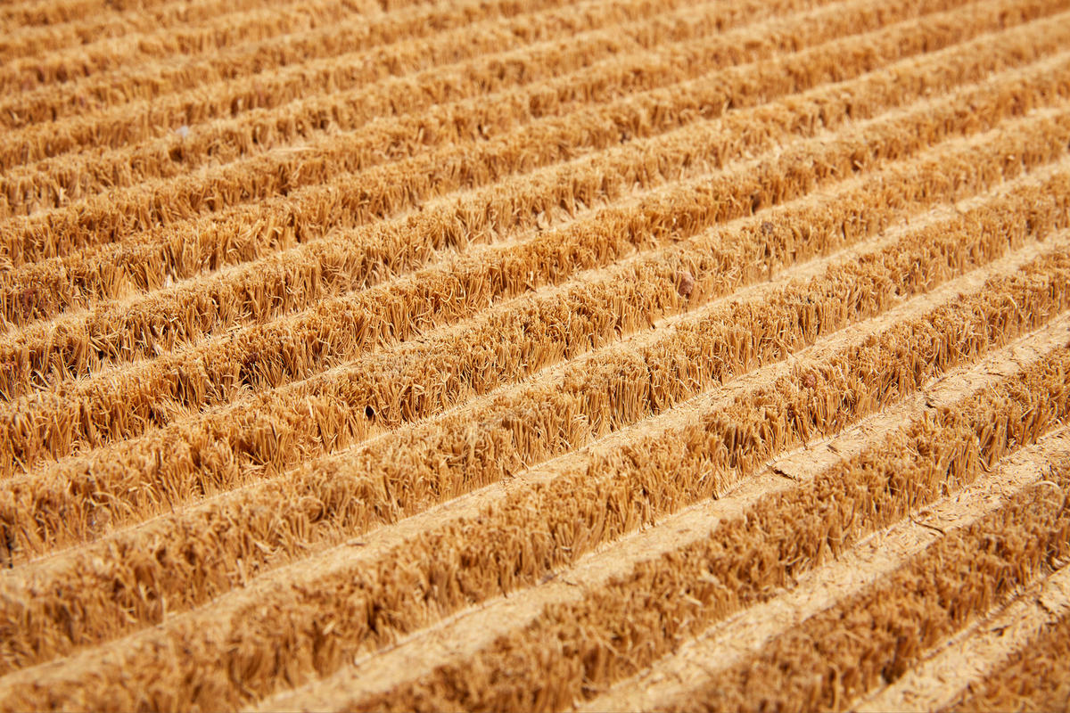 FUßMATTE  45/75 cm  Naturfarben  - Naturfarben, Design, Naturmaterialien/Kunststoff (45/75cm) - Esposa