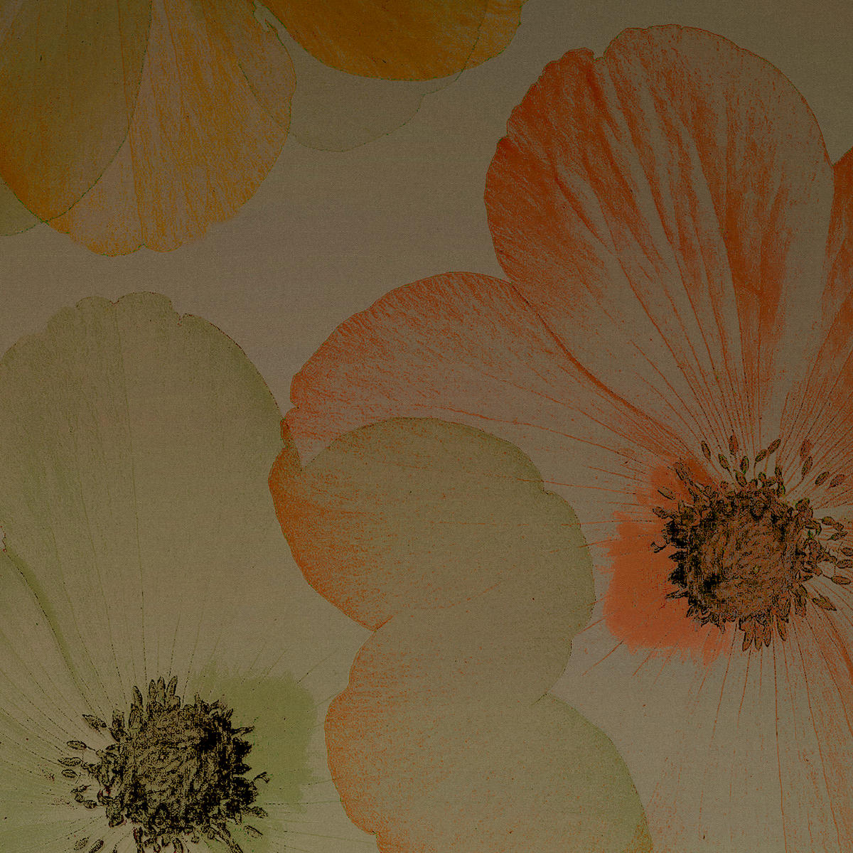 WENDEBETTWÄSCHE Satin 135/200 cm  - Grün, Textil (135/200cm) - Novel