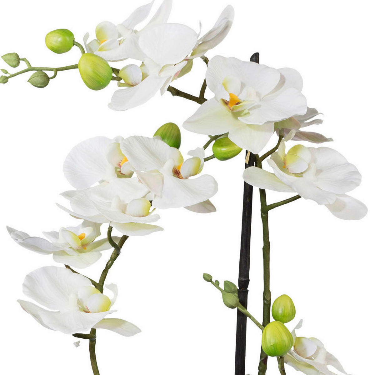 KUNSTBLUME Orchidee  - Weiß/Grün, Basics, Keramik/Kunststoff (42cm)
