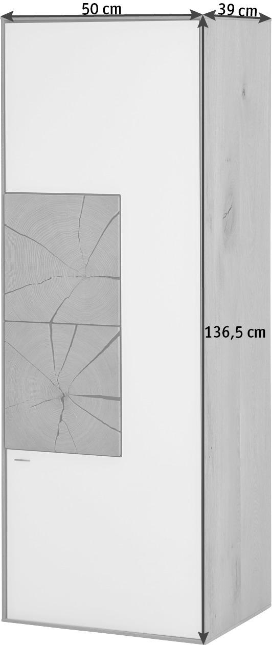 HÄNGEELEMENT Kerneiche vollmassiv Eichefarben, Fango  - Fango/Eichefarben, Design, Glas/Holz (50/137/39cm) - Valnatura
