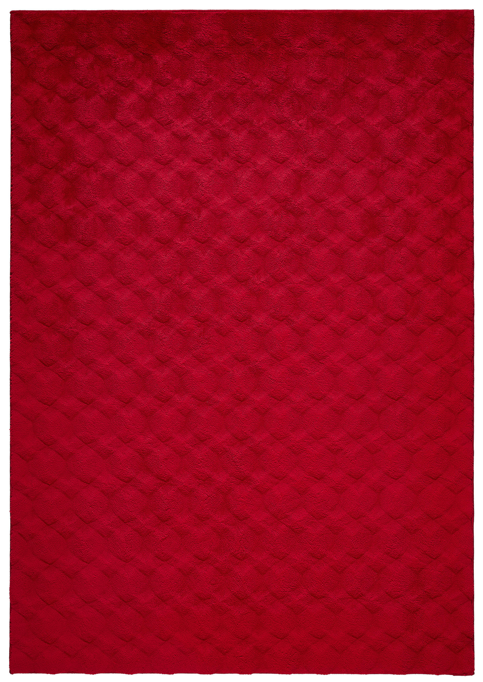 HOCHFLORTEPPICH 160/230 cm Rot rechteckig  - Rot, MODERN, Textil (160/230cm) - Novel