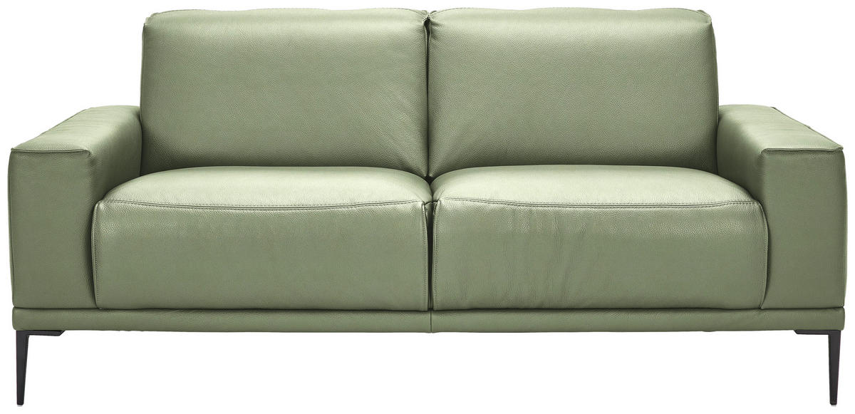 2-SITZER-SOFA Echtleder Grün  - Schwarz/Grün, Design, Leder/Metall (180/82/92cm) - Johann Jakob