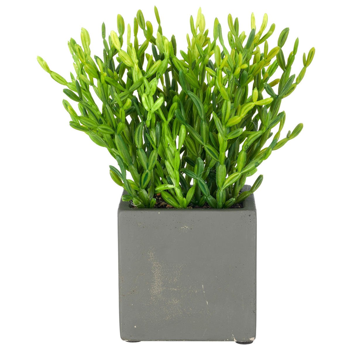 KUNSTPFLANZE Dekoblatt 18 cm  - Grau/Grün, Basics, Kunststoff/Stein (18cm)