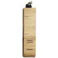 HOCHSCHRANK 40/173/45 cm  - Alteiche, MODERN, Holz (40/173/45cm) - Dieter Knoll