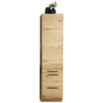 HOCHSCHRANK 40/173/45 cm  - Alteiche, MODERN, Holz (40/173/45cm) - Dieter Knoll