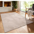 WEBTEPPICH 60/120 cm Homestyle Beige  - Beige, Design, Textil (60/120cm) - Novel