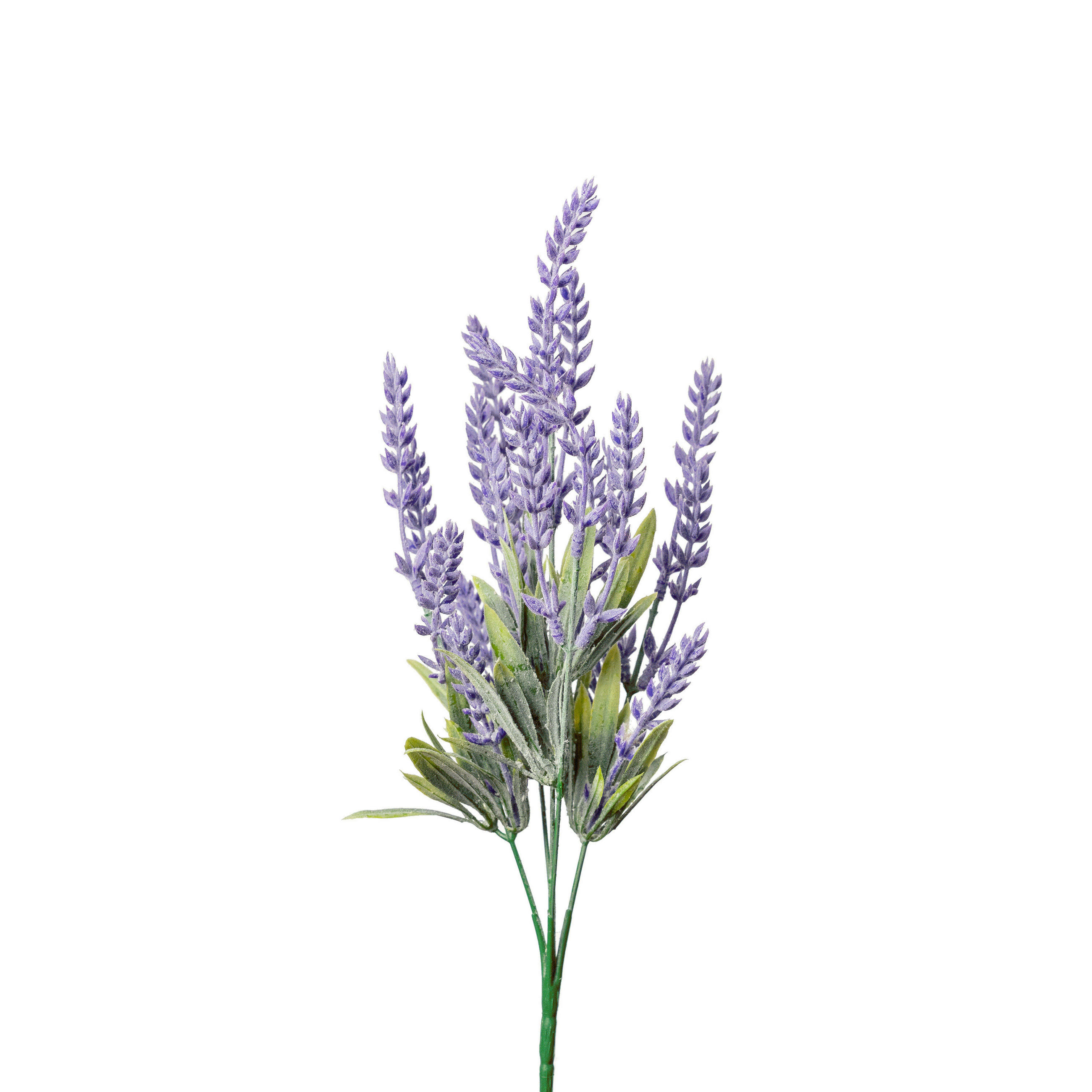 LAVENDEL - Lila/Grün, Basics, Kunststoff (36cm)