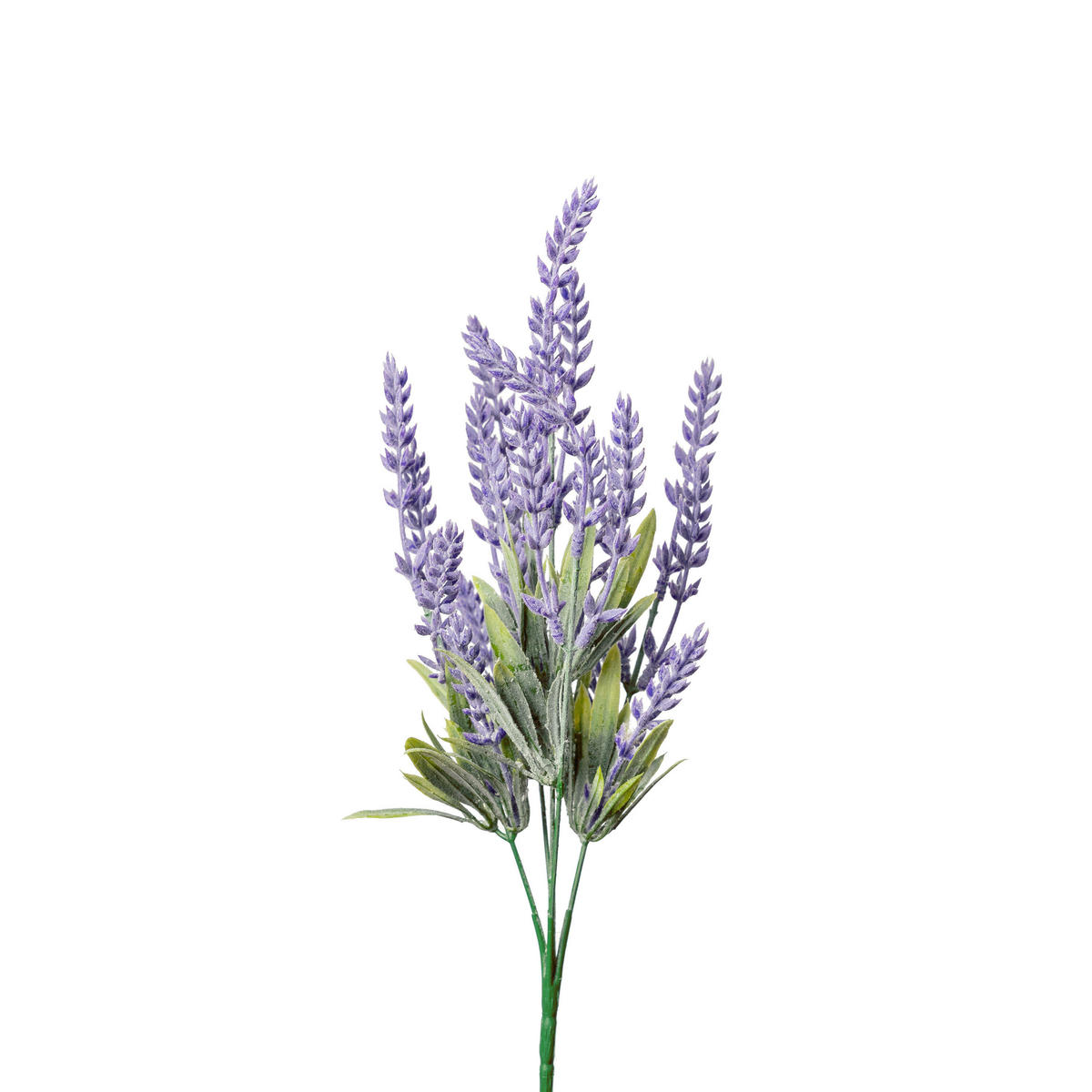 LAVENDEL - Lila/Grün, Basics, Kunststoff (36cm)