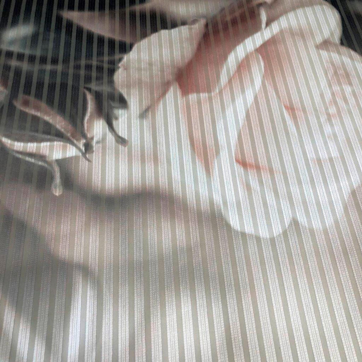 PANELOVÝ ZÁVĚS, 60/245 cm - růžová, Natur, textil (60/245cm)