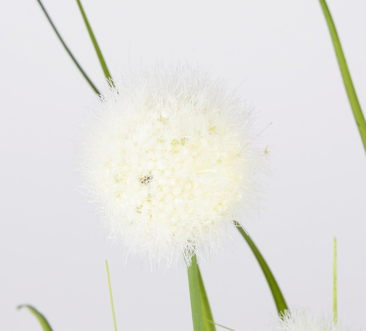 DEKORAČNÁ TRÁVA, 70 cm - krémová/zelená, Basics, plast (70cm)