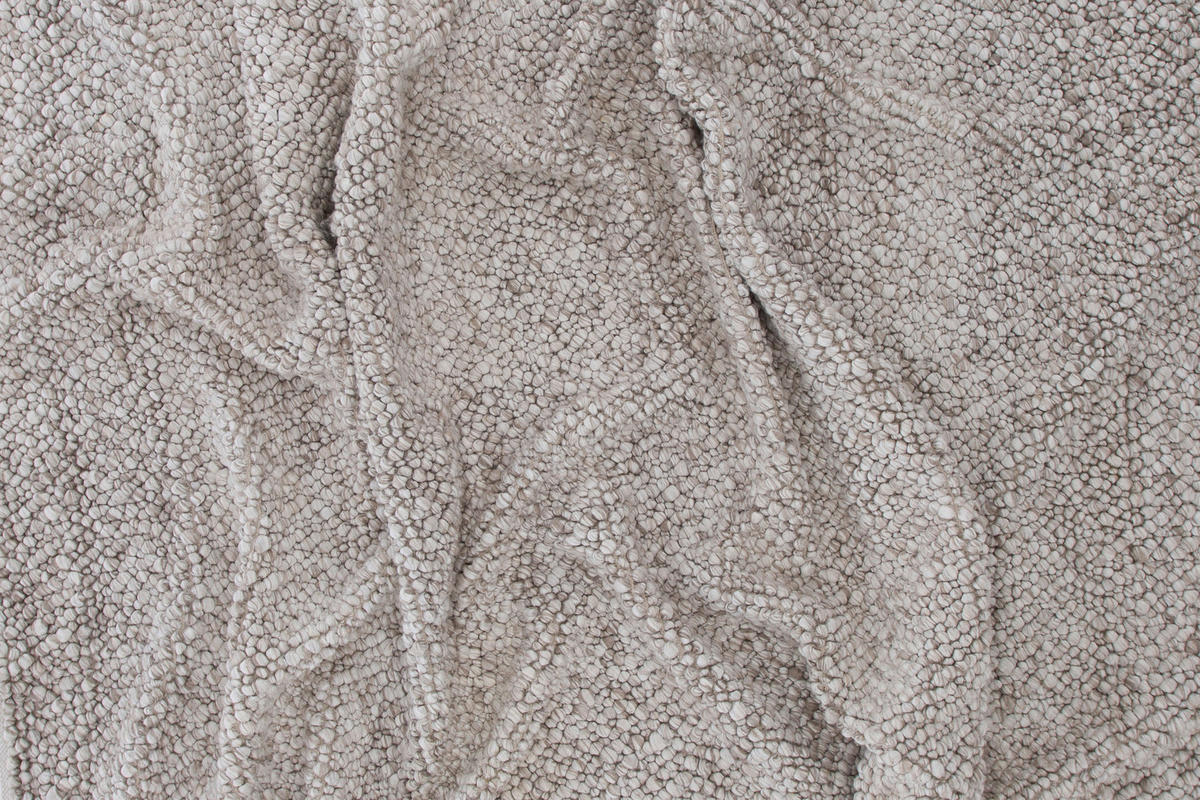 HOCHFLORTEPPICH 250/350 cm Beige  - Beige, LIFESTYLE, Textil (250/350cm) - P & B