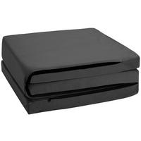 ZLOŽLJIVO LEŽIŠČE 65/186 cm  - temno siva, Moderno, tekstil (65/186cm) - MID.YOU