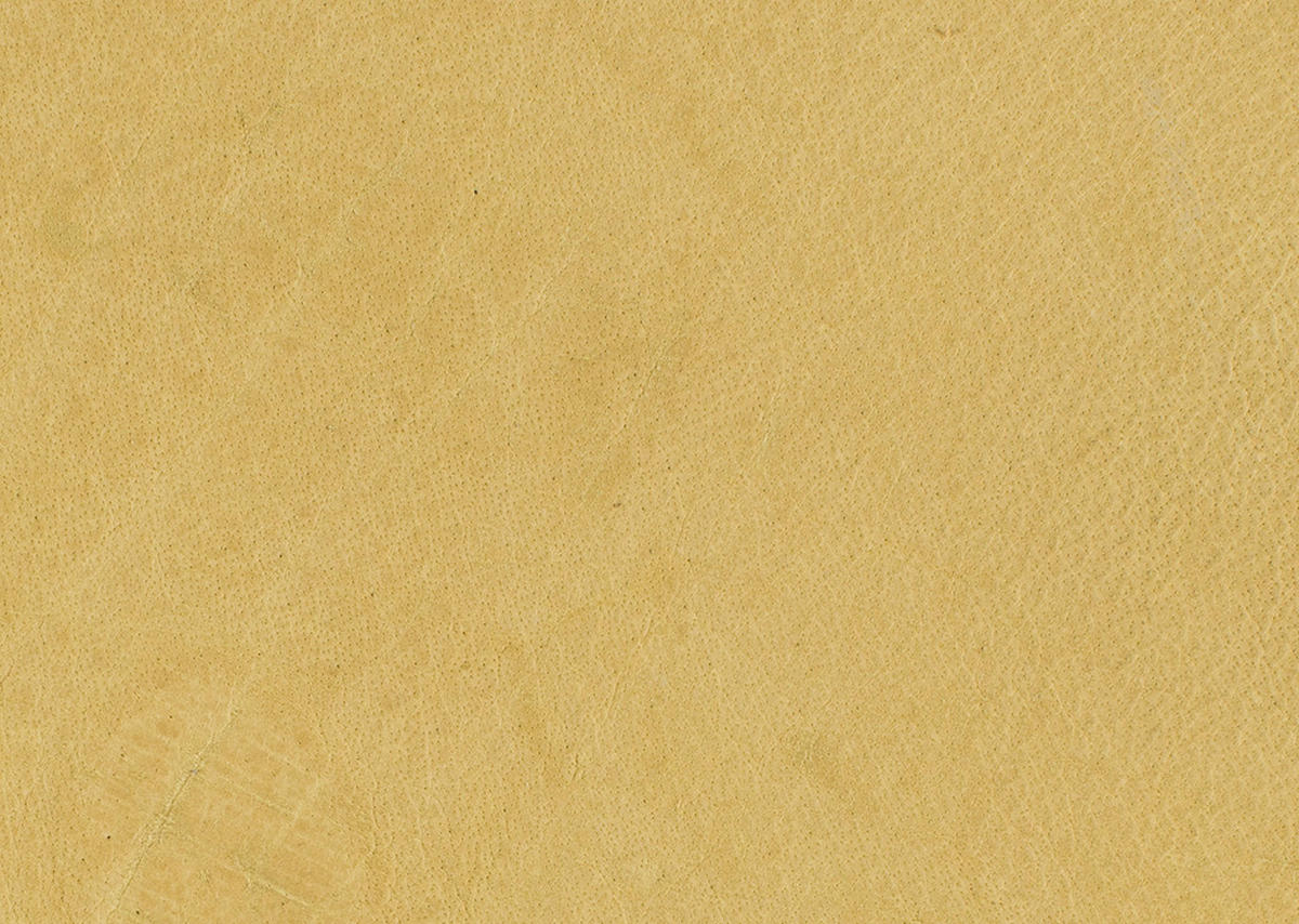 ARMLEHNSTUHL  in Echtleder naturbelassen  - Wildeiche/Gelb, Design, Leder/Holz (63/74-90/57-73cm) - Koinor