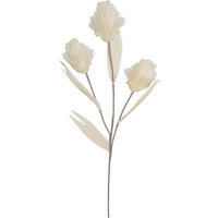 KUNSTBLUME - Creme, Basics, Papier/Kunststoff (68cm) - Ambia Home