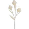 KUNSTBLUME - Creme, Basics, Papier/Kunststoff (68cm) - Ambia Home