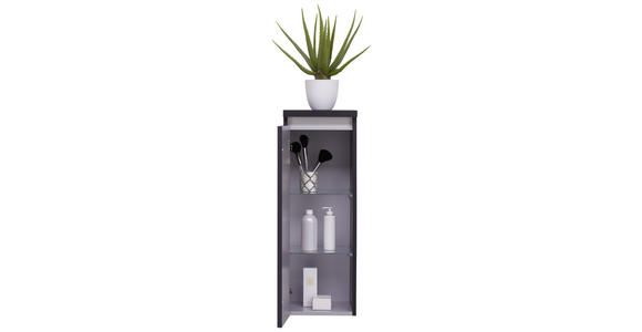 MIDISCHRANK 30/85,8/33 cm - Grau, MODERN, Glas/Holzwerkstoff (30/85,8/33cm) - Dieter Knoll