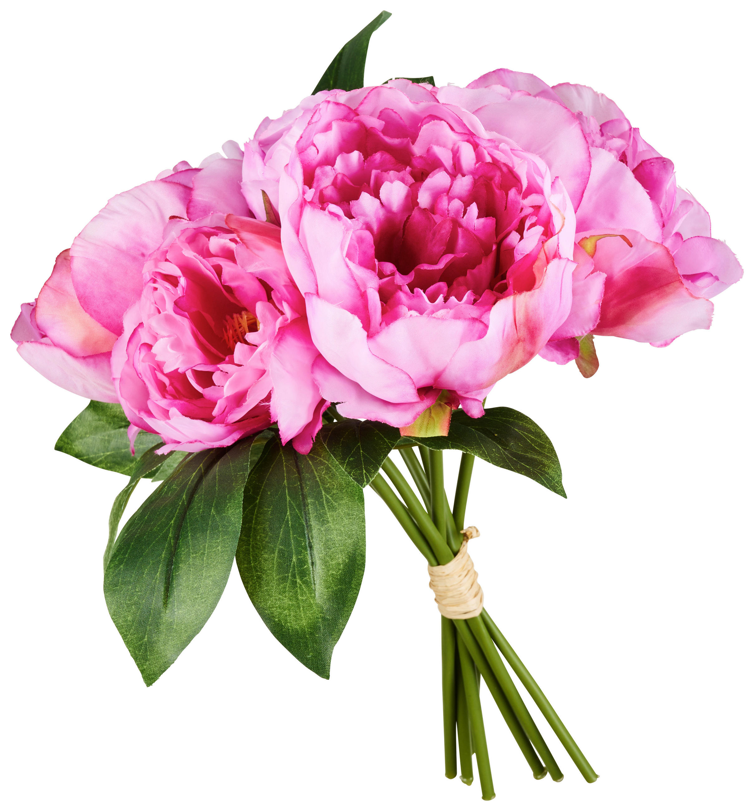 POTONIKA           28 cm    - roza/zelena, Trendi, umetna masa/tekstil (28cm)