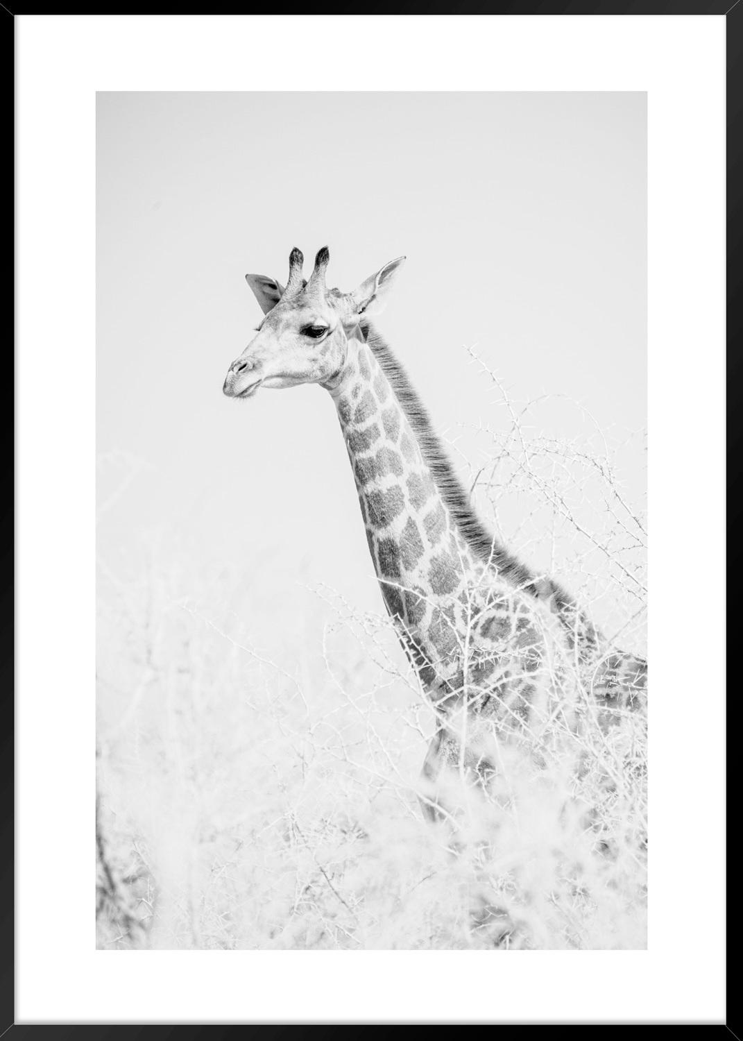 Keilrahmenbild 50/70 cm