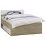 BETT 120/200 cm in Eichefarben, Weiß - Eichefarben/Weiß, KONVENTIONELL, Holzwerkstoff (120/200cm) - Xora BETT 120/200 cm in Eichefarben, Weiß - Eichefarben/Weiß, KONVENTIONELL, Holzwerkstoff (120/200cm) - Xora