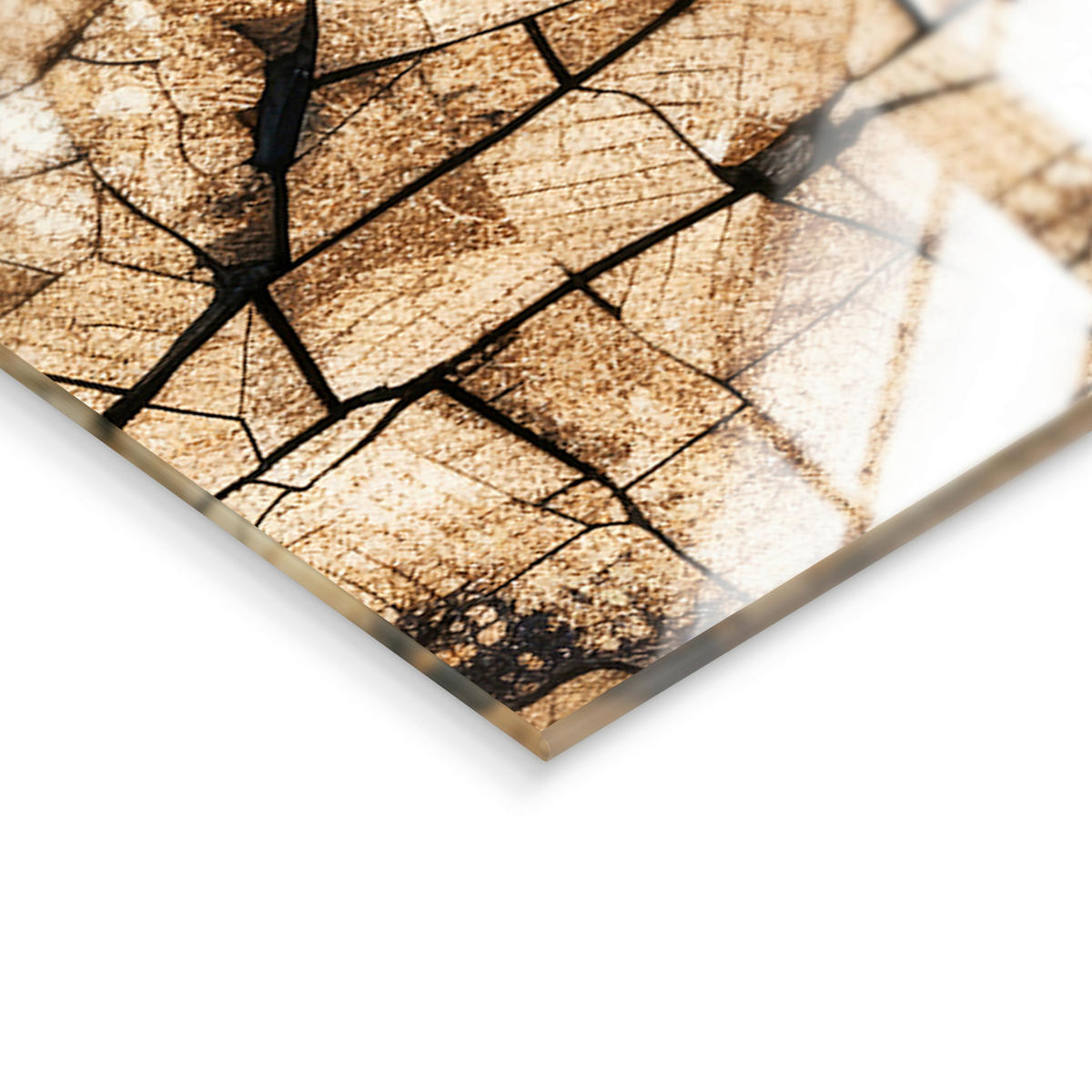 GLASBILD Frauen 70/100 cm  - Multicolor, Basics, Glas/Papier (70/100cm)