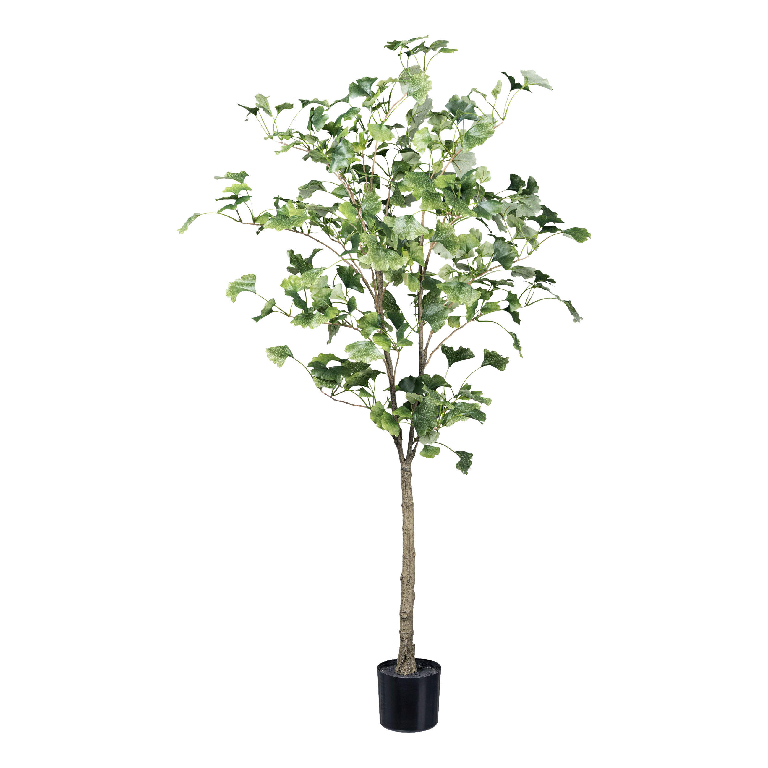 KUNSTPFLANZE Ginkgo 120 cm  - Schwarz/Braun, Design, Kunststoff (120cm)