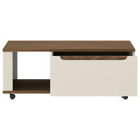 DOHÁNYZÓASZTAL - kasmírszínű/diófa színű, Basics, műanyag/faalapú anyag (110/43/65cm) - Hom`in