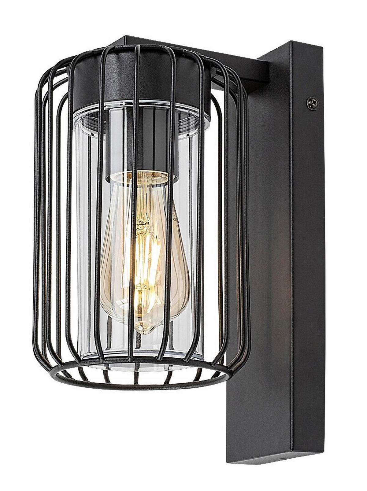 ZIDNA SVJETILJKA VANJSKA Tarpa  - prozirno/crna, Basics, metal/plastika (13.5/27cm)