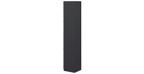 AKTENSCHRANK Anthrazit, Hickory  - Anthrazit/Hickory, KONVENTIONELL, Holzwerkstoff (40/220,5/41,9cm) - Moderano