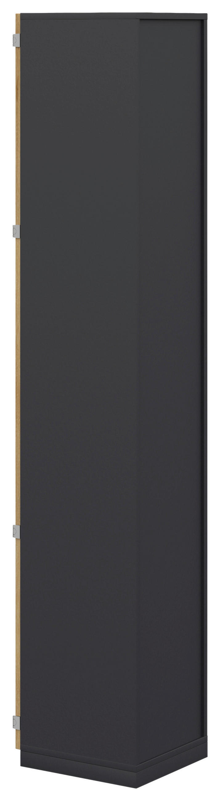 AKTENSCHRANK Anthrazit, Hickory  - Anthrazit/Hickory, KONVENTIONELL, Holzwerkstoff (40/220,5/41,9cm) - Moderano