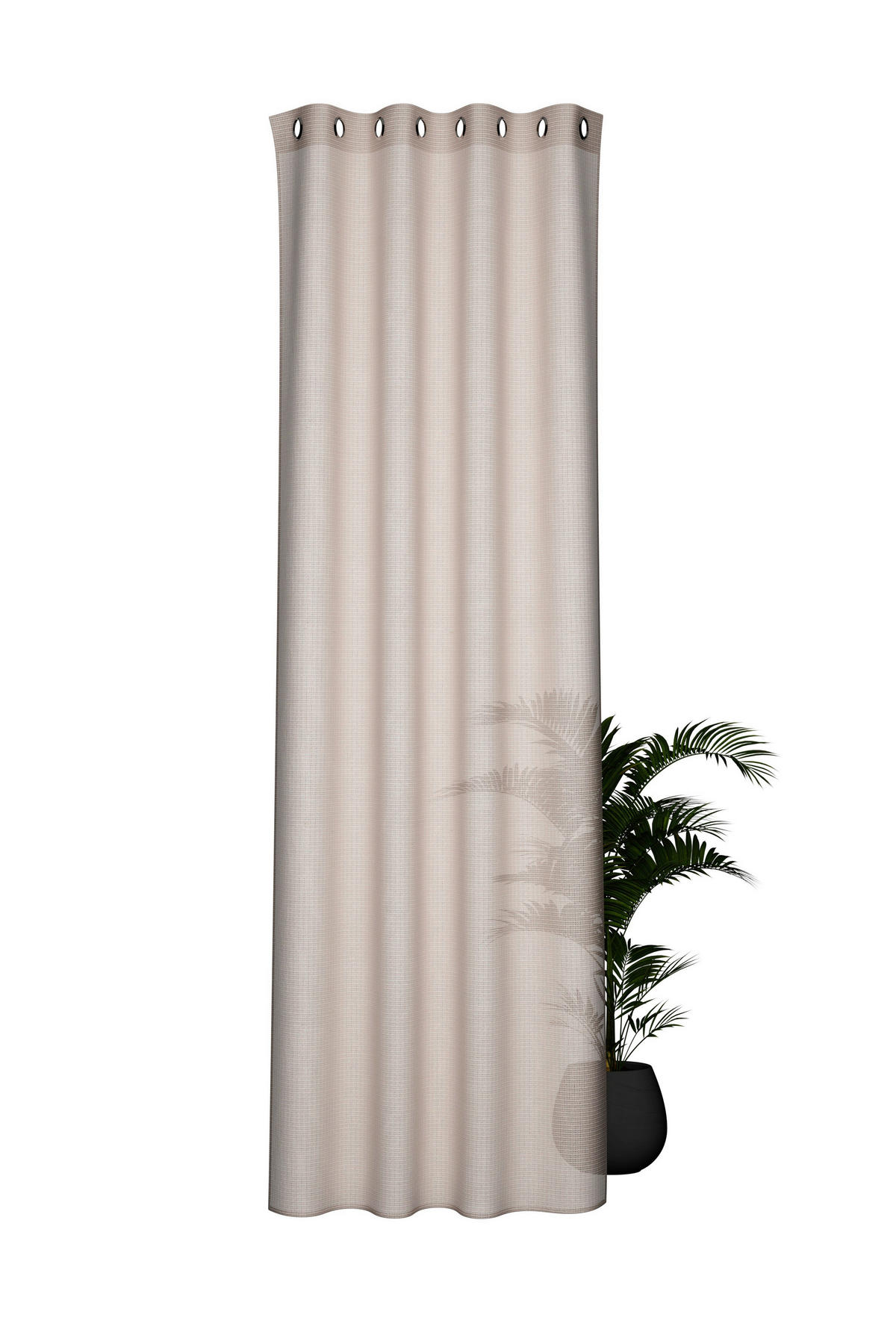 ÖSENVORHANG halbtransparent  - Naturfarben, Basics, Textil (140/245cm) - Fuggerhaus