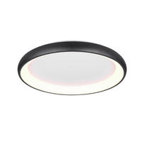 STROPNÍ LED SVÍTIDLO, 75/9,5 cm  - černá, Design, kov (75/9,5cm) - Trio Leuchten
