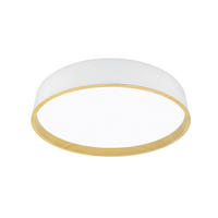 STROPNÍ LED SVÍTIDLO, 40/8 cm  - bílá, Basics, kov/plast (40/8cm)