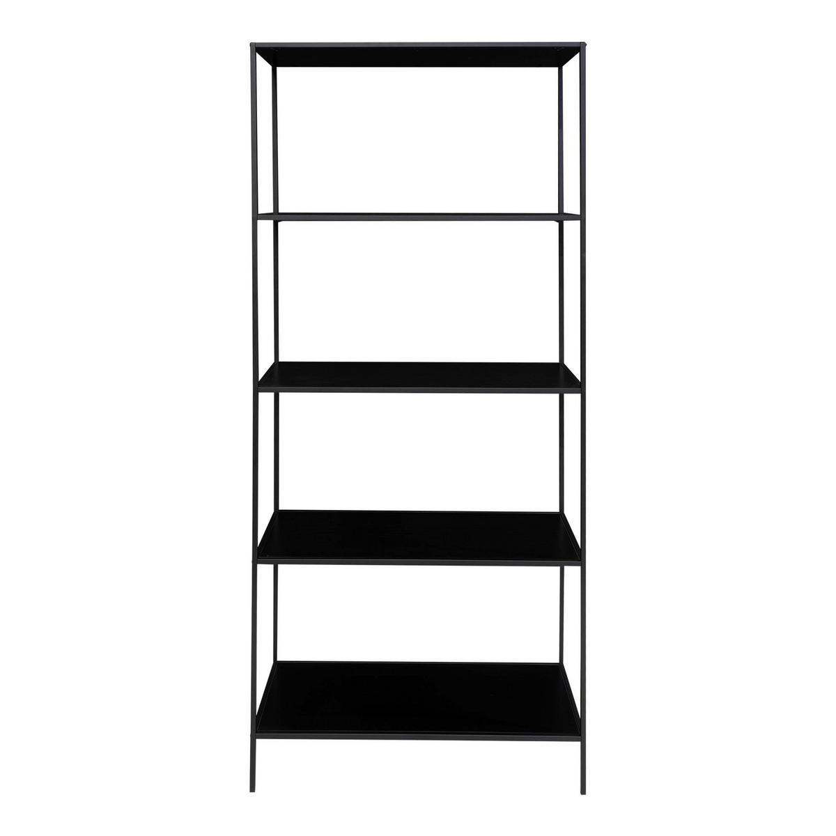 REGAL Schwarz  - Schwarz, Design, Holzwerkstoff/Metall (80/170/36cm) - MID.YOU