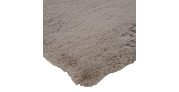 HOCHFLORTEPPICH 60/110 cm Yogi Taupe - Taupe, Design, Textil (60/110cm) - Novel