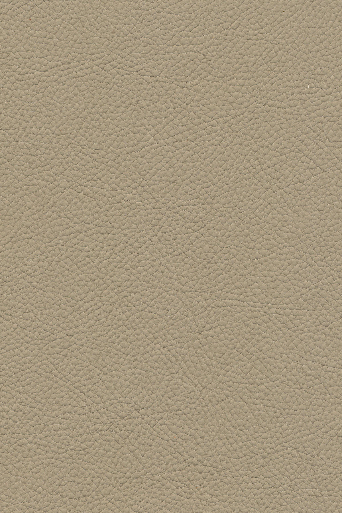 ECKSOFA in Echtleder Beige  - Beige/Schwarz, Design, Leder/Metall (182/325cm) - Valnatura