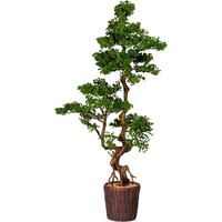 KUNSTPFLANZE Bonsai 155 cm  - Braun/Grün, Design, Keramik/Kunststoff (155cm)